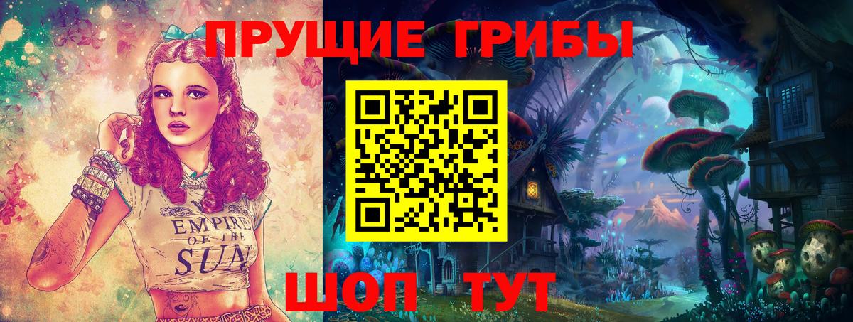 Галлюциногенные грибы Cubensis Осинники